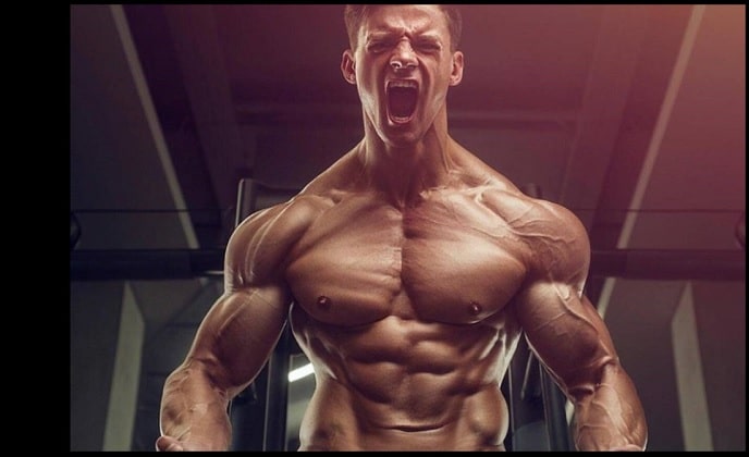 Best Anabolic Steroids for Bodybuilding