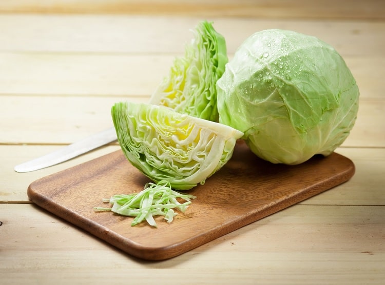 Cabbage