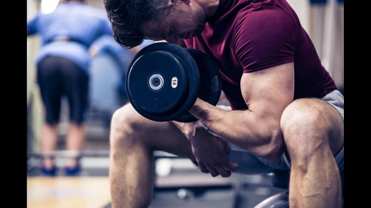 The Best Prohormones for Bulking & Cutting