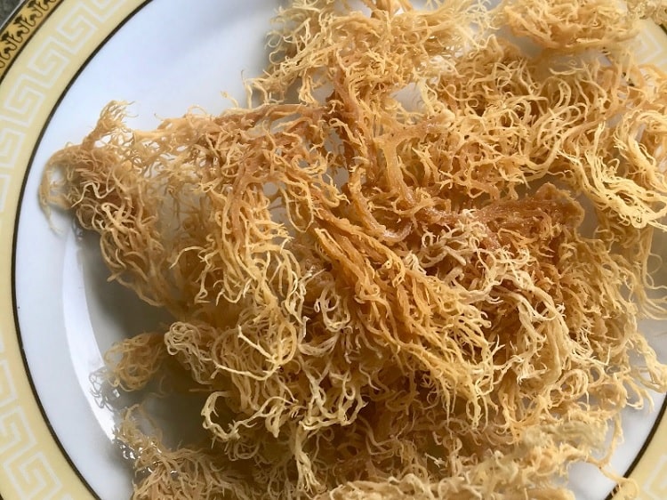 What Is Sea Moss