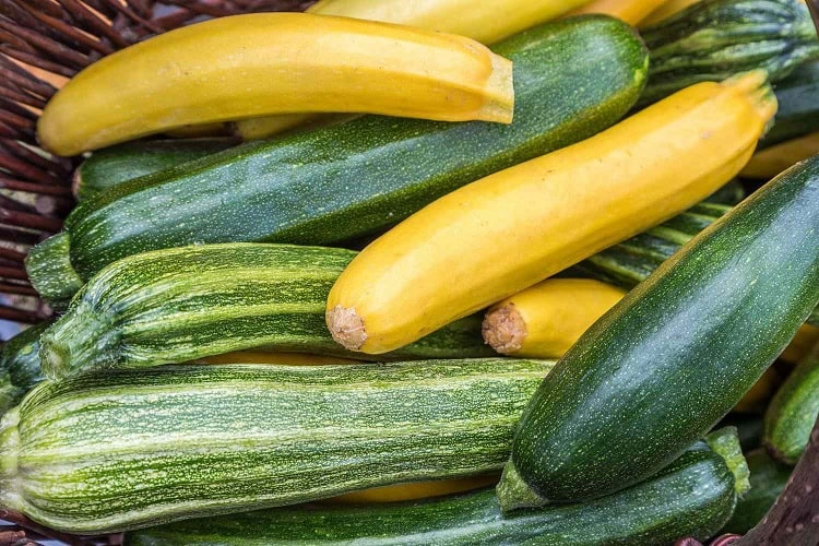 Zucchini